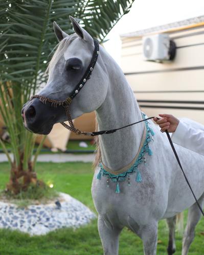 صدرية باللون التركوازي