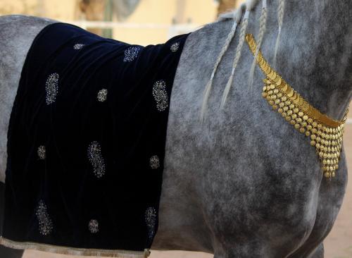 جلال كحلي مخملي مع قلادة ذهبية