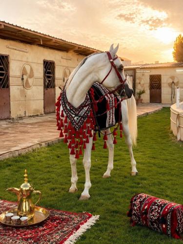 لبادة خرج مع صدرية