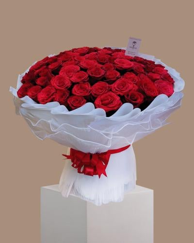 Queen of the Red Rose