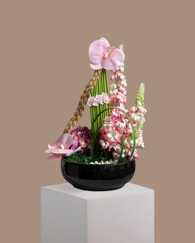 Orchid Zen