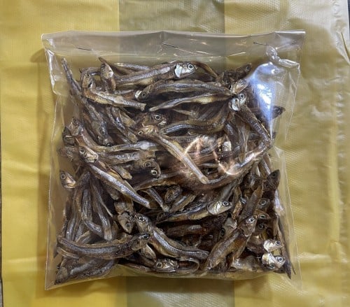 احساس (عموم)