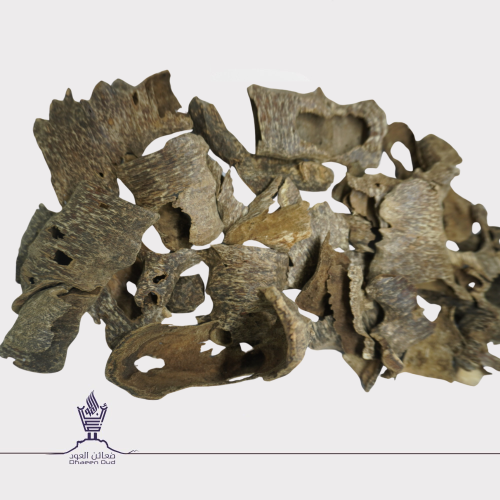 فيتنامي بطن الشجر - طبيعي