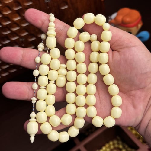 دومنة كريمي صندوقي