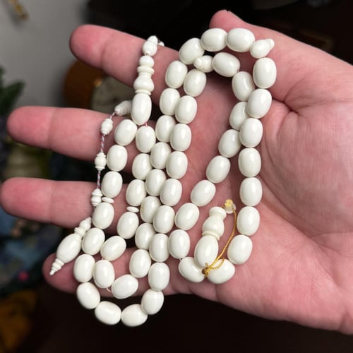 دومنة فستقي