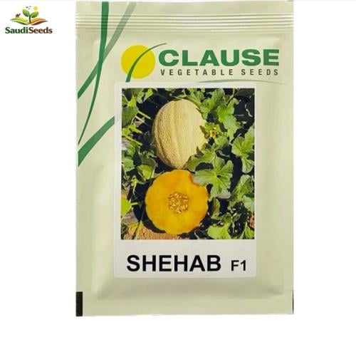 بذور شمام شهاب 1000 بذرة Shehab F1 Melon seeds