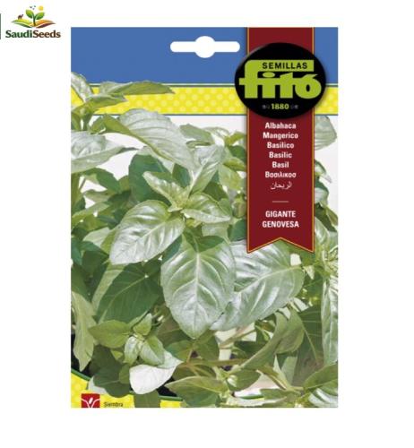 بذور ريحان جنوفيزا 3 جم Genovese Basil Seeds