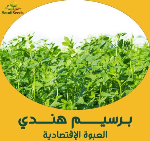 بذور برسيم هندي Indian Clover Seeds