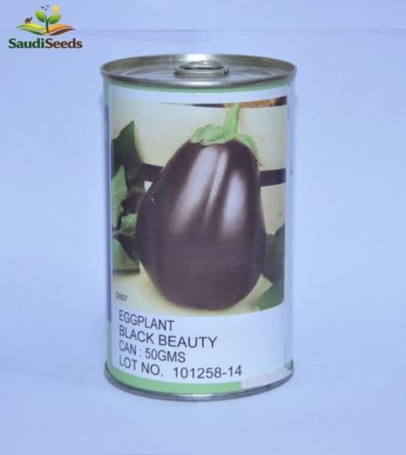بذور باذنجان بلاك بيوتي Black Beauty