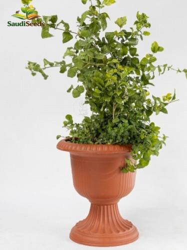مركن دائري 25 سم الهلال Round Garden Planter 25 cm