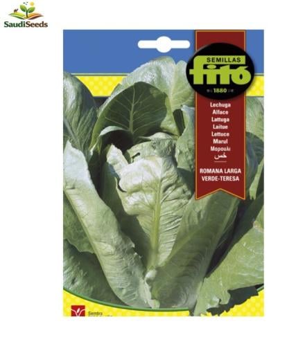 بذور خس رومانا فيردي 8 جرام Romaine Lettuce Verde...