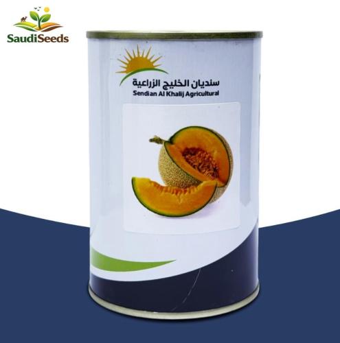 بذور شمام نوع أناناس Muskmelon Ananas