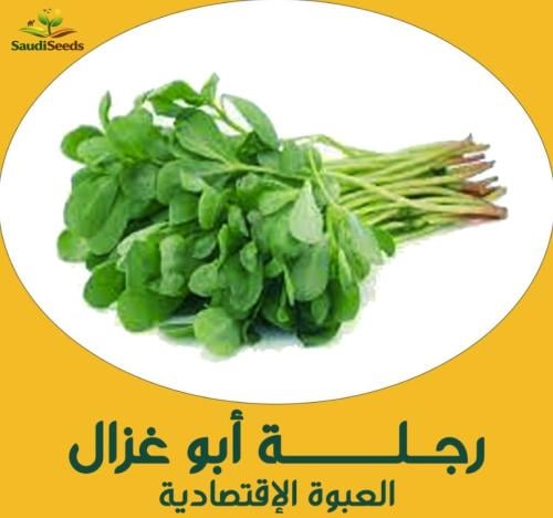 بذور رجلة أبو غزال 40 جرام Abu Ghazal Purslane