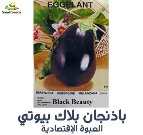 بذور باذنجان بلاك بيوتي 40 جرام Black Beauty Eggpl...