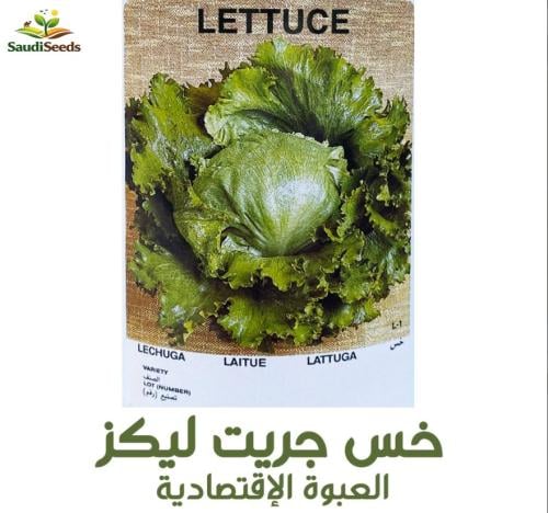 بذور خـــــس جريت لـــــيكـــز 40 جرام Great Lakes...
