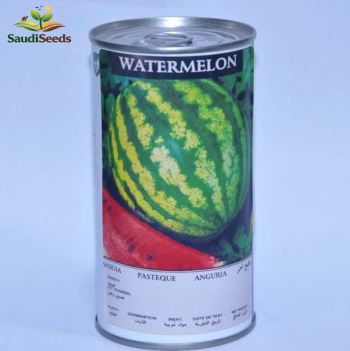 بذور البطيخ المخطط Watermelon Seeds