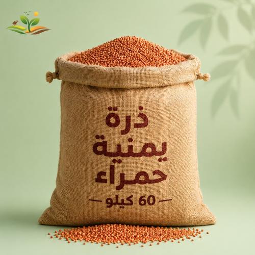 كيس ذرة يمنية حمراء 60 كيلو