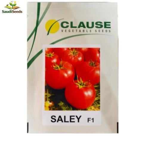 بذور طماطم سالي F1 باكت 1000 بذرة saley tomato see...