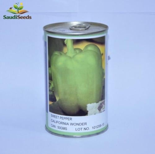 بذور خس Lettuce