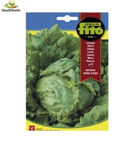 بذور خس باتافيا يوتيبو باكت 7 جرام Batavia Lettuce...
