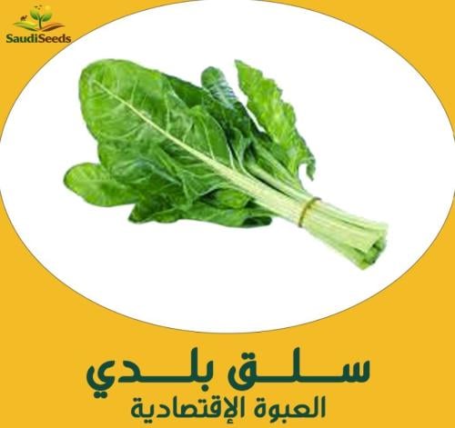 بذور سلق بلدي 40 جرام Swiss Chard Local Seeds