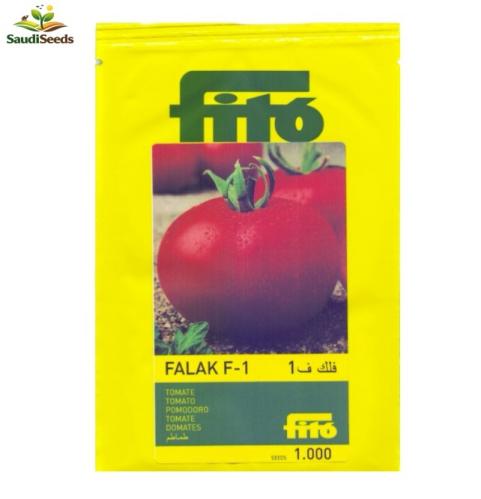 بذور طماطم فلك F1 للبيت المحمي 1000 بذرة Falak Tom...