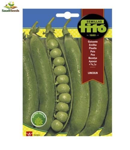 بذور بازيليا لينكولن 55 جم Lincoln Peas seeds