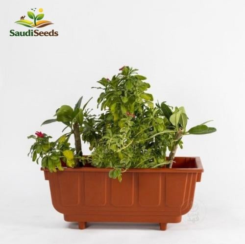 مركن مستطيل 60 سم Rectangular Garden Planter 60 cm