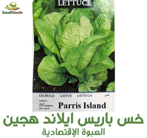بذور خـــس باريس ايلاند هجين 40 جرام paris island...