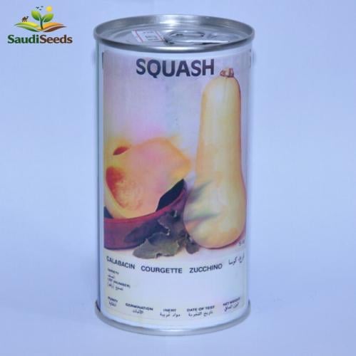بذور قرع Squash Seeds