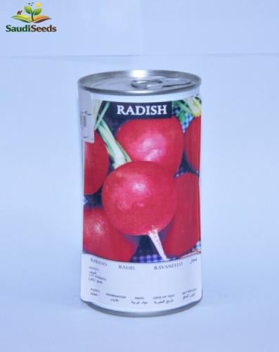 بذور فجل Radish