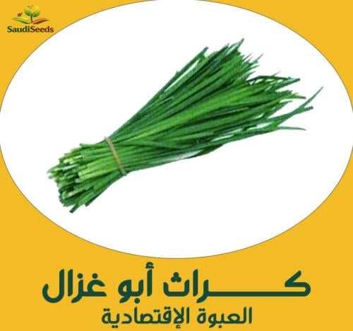 بذور كراث أبو غزال 40 جرام Abu Ghazal Leek