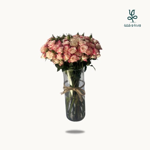 بيبي روز رفلكس