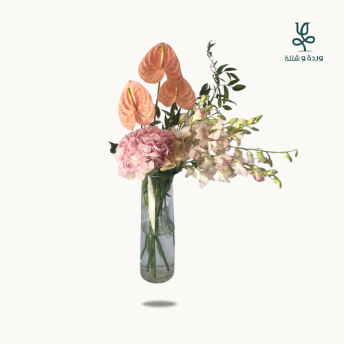 فازة الانثيريوم