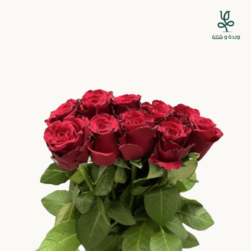 ورد جوري 20 وردة