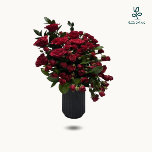 فازة بيبي جوري احمر