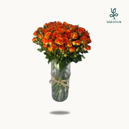 بيبي روز اورنج