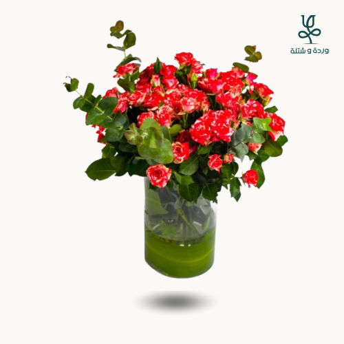 فازة بيبى روز