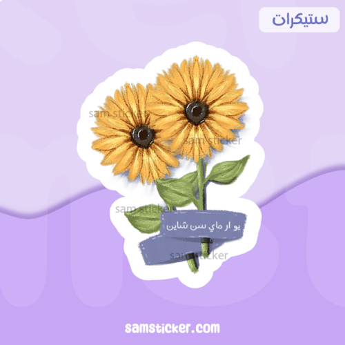 يو ار ماي سن شاين