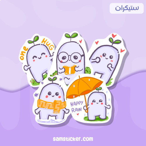 سيد كيوت