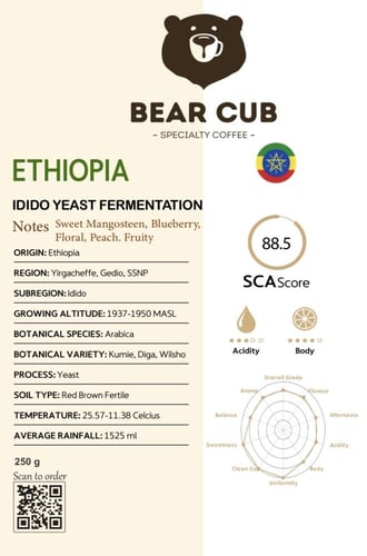 محصول أثيوبيا أديدو | Ethiopia Adido