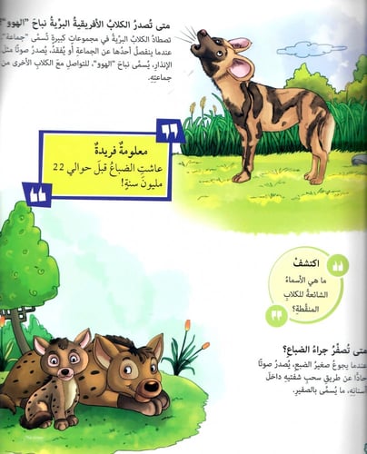 متى يرقص النحل؟