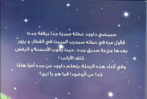 ليلة في القطار