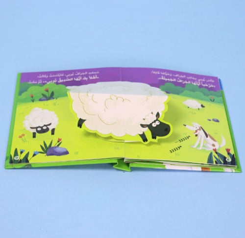 مجموعة العب وتعلم - ثلاثي الابعاد (4 كتب)