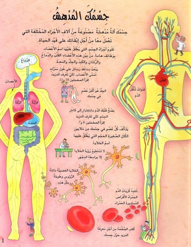 نافذة على جسم الإنسان