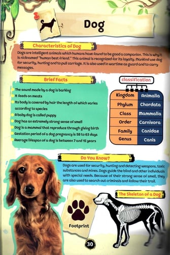 قصص الحيوان في القران - انجليزي wonderful stories...