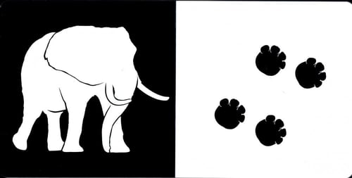 الحيوان وأثره - سلسلة تعليم الرضع