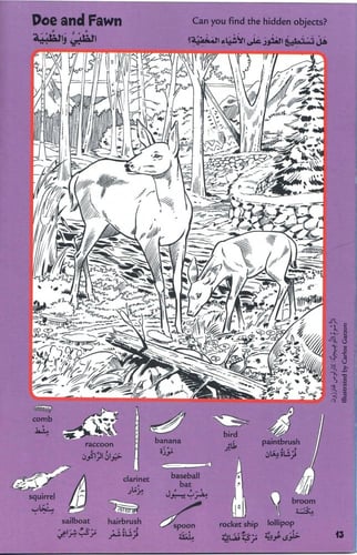 سلسلة الصور المخفية (4 كتب) - وسط