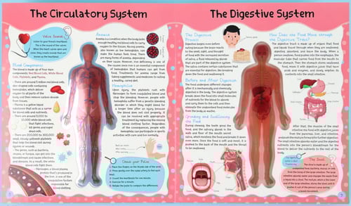 اكتشف جسم الانسان (كتاب مجسم) بالإنجليزي the human...