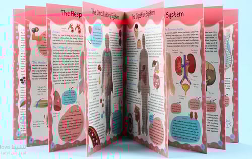 اكتشف جسم الانسان (كتاب مجسم) بالإنجليزي the human...